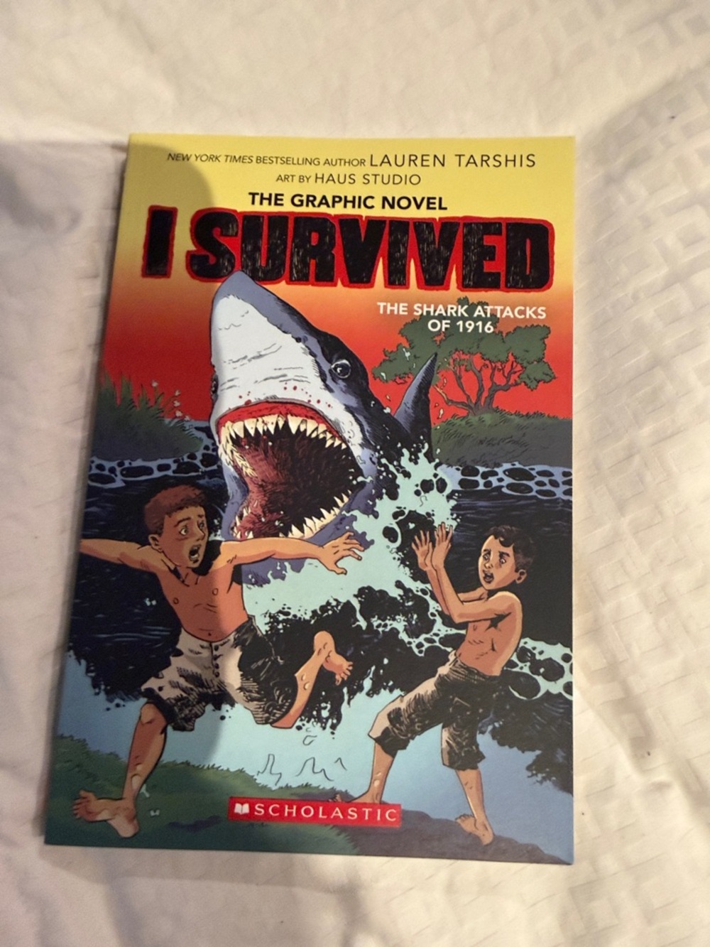 Scholastic Kids Swim Graphic Novel Cover — Bright Red, Yellow, Blue Illustration